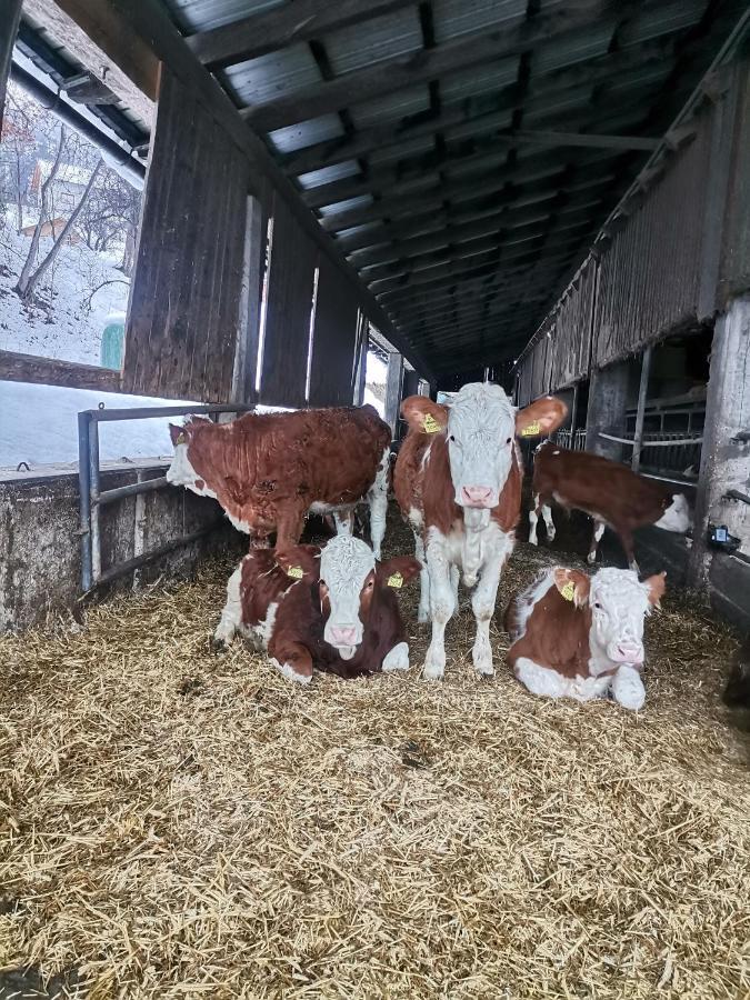 Tourist Farm Mulej Villa Bled Dış mekan fotoğraf